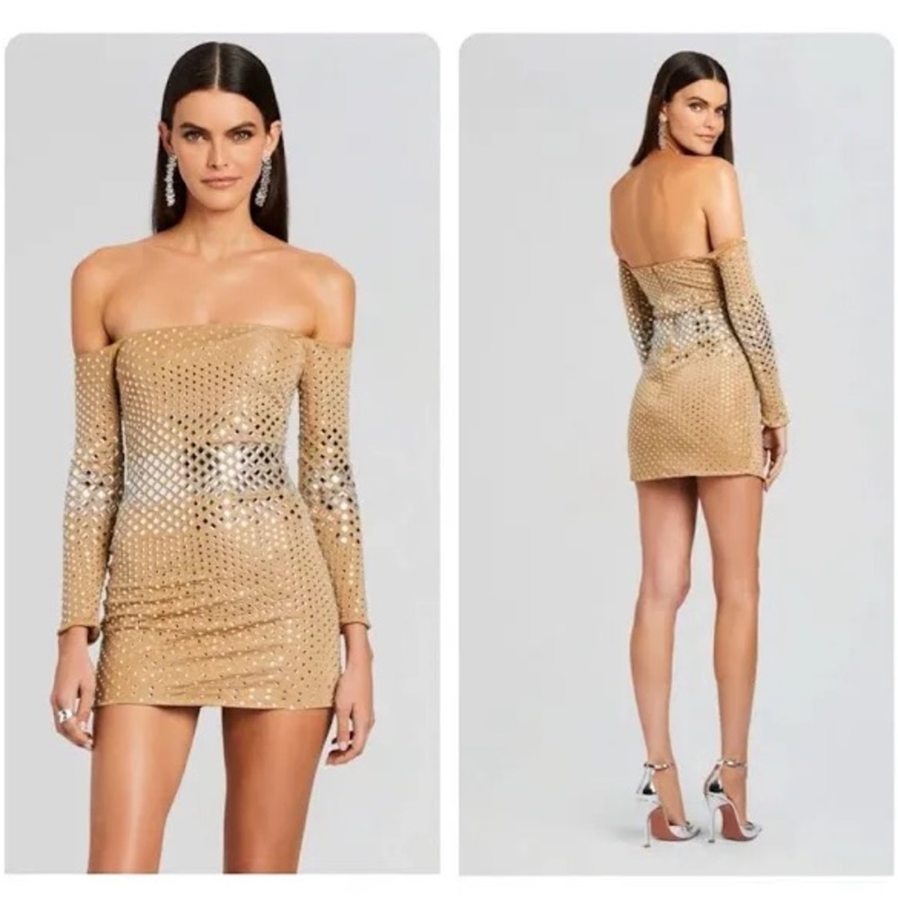 BRIELLA EMBELLISHED DRESS  silver tanin small nwt